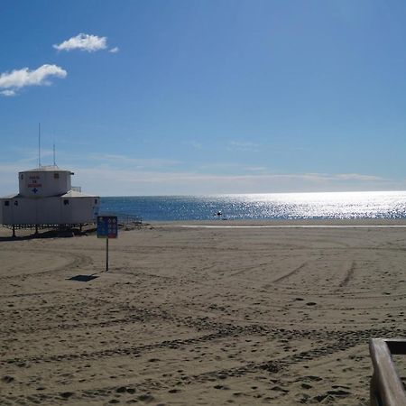 L'Hacienda Lejlighed Canet-en-Roussillon Eksteriør billede